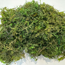 Pet King Szárított erdei moha| Természetes terráriumi dekoráció - 100 g