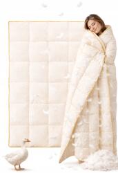 AMZ Paplan 200x220 cm 70% Libapehely Egész évben Természetes Hagyományos Gyártás (5903887142335)