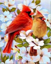 NORIMPEX - Puzzle Tablou Diamant: Păsări pe o ramură 30x40cm - 1 - 39 piese