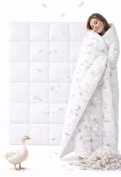 Strefa Spania Toll paplan 140x200 egész éves toll libatoll lengyel termék (kol-pierz-140x200)