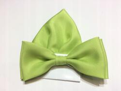 CGM Pisztácia Zöld Seledon Csokornyakkendő Díszítőszégel (Mucha)