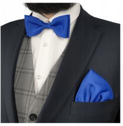 CGM Legyező párnahuzat Elegáns búzavirág kék csokornyakkendő (M3/56)