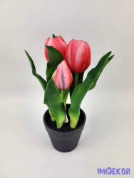  Cserepes gumi tulipán 2+3 fejes 23 cm - Sötét Rózsaszín