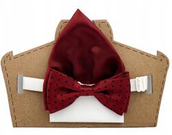 CGM Bordó gyermek csokornyakkendő fekete pöttyökkel és zsebkendővel (Mucha chłopięca w groszki z poszetką)