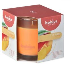 Bolsius Gyertya Bolsius Jar True Scents 95/95 mm, mangó (STP012172713) - lavonio