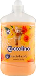 Coccolino Orange Rush 6 × 1700 ml - lavonio