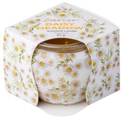  Emocio Üvegbe Töltött Illatgyertya Daisy Meadow Dekor 70X62Mm - lavonio