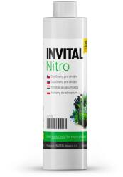 INVITAL Nitro 250 ml (INZ07198)
