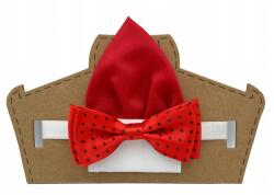  Piros, fekete pöttyös fiú csokornyakkendő és zsebkendő szett