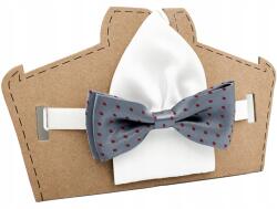 CGM Gyerek csokornyakkendő szürke-piros pöttyös (Mucha chłopięca w groszki z poszetką)