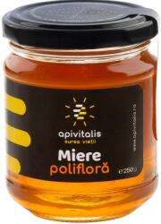 ApiVitalis NYERS VEGYES VIRÁGMÉZ 250g