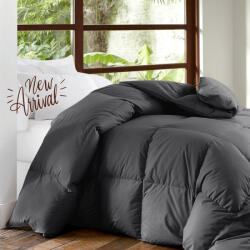 Go Smart Home Pilotă Dublu cu Umplutură Microfiber 215x235cm Dark Gray 09.00102 250 g/mp2Gsm (09.00102)
