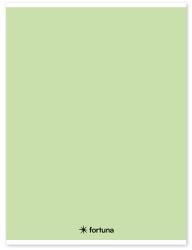 Fortuna Caiet căptușit FORTUNA Monocolor A/4 32 foi verde pastel 01.02105 (01.02105)