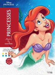  Carte de colorat după numere Hachette Heroes: Mystery Colouring - Princesses (9782017276319)