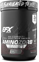 EFX Sports - Amino Zorb Elite 21 - 390 G