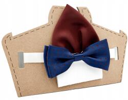 CGM Gyerek csokornyakkendő sötétkék, bordó pöttyös párnahuzat (Mucha chłopięca w groszki z poszetką)