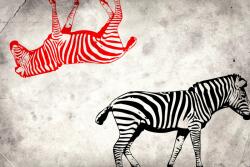 agmART Fotótapéta Falfestmény Állatok Zebra tégla fal 360x240 (Fototapety agmART)