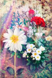 agmART Fotótapéta Virágok Színes Gyönyörű 3D (Fototapety agmART)