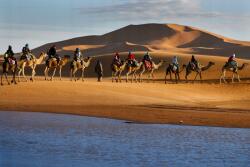 agmART Fotótapéta Természet Sivatag Tevék Dűnék (Fototapety agmART)