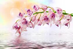 agmART Fotótapéta Virág Ág Nappali Konyha 3D (Fototapety agmART)