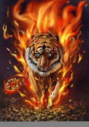 agmART Fotótapéta Természet Állatok Tigris A Tűzben 395x280 (Fototapety agmART)