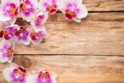 agmART Fotótapéta Orchideák A Nappali Deszkáin (Fototapety agmART)