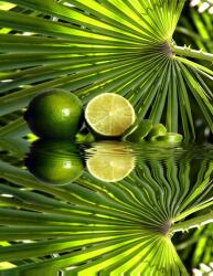 agmART Fotótapéta Kilátás Lime Tükröződés A Vízben (Fototapety agmART)