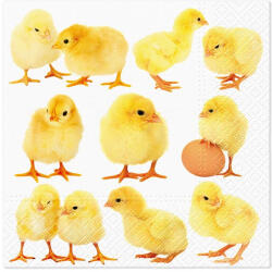  MFP Szalvéta 33 x 33 cm 3 rétegű 20 Lap/Csomag Csibék (MFP2011124)