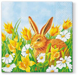  MFP Szalvéta 33 x 33 cm 3 rétegű 20 Lap/Csomag Pihenő Nyúl (MFP2011127)