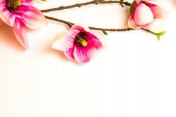 agmART Fotótapéta Virág Magnólia Dekoráció (Fototapety agmART)