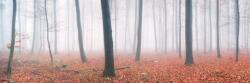 agmART Fotótapéta Táj Erdő Köd Fák Ősz (Fototapety agmART)
