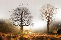 agmART Fotótapéta természet fák állatok virágok 360x240 (Fototapety agmART)