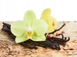 agmART Fotótapéta Virág Orchidea Vanília (Fototapety agmART)