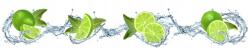 agmART Fotótapéta Lime A Vízben 360x240 (Fototapety agmART)