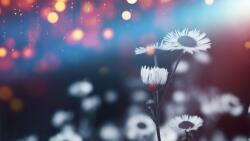 agmART Fotótapéták Virágok természet a szoba nappalijába 200x130 (Fototapety agmART)