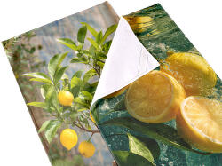 Takoy Konyharuha szett citromok nyáron - 2 db