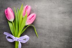 agmART Fotótapéta Tulipán Csokor Szürke (Fototapety agmART)