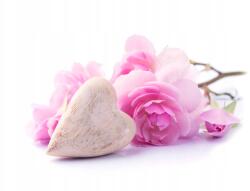 agmART Fotótapéta Ág Virágzással Szép Nappaliba 260x180 (Fototapety agmART)