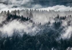  Fliz Fotótapéta nappaliba erdő a ködben 3D 400x280 (FOTOTAPETA tapety do salonu sypialni 3D)