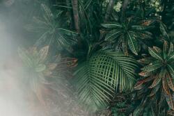 agmART Fotótapéta dzsungel páfrány levelek a ködben 395x280 (Fototapety agmART)