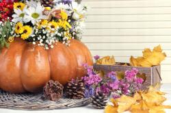 agmART Fotótapéta Őszi Virágok Levelek Sütőtök (Fototapety agmART)