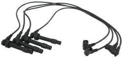 NGK Motor, Set Fise Bujii (ngk0569) Bujie