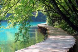 agmART Fotótapéták méretre vágva híd fa tó 360x240 (Fototapety agmART)