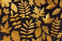 agmART Fotótapéták Virágok Arany levelek Monstera 380x256 (Fototapety agmART)