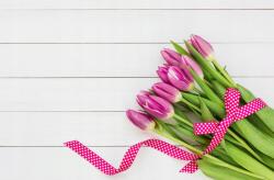 agmART Fotótapéta Tulipán Deszka Dekoráció Nappali 200x130 (Fototapety agmART)