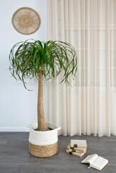 FüggönyFutár Webáruház Világos barna egyszínű voile függöny, egyedi méretre, készre varrjuk - fuggonyfutar - 1 800 Ft