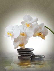 agmART Fotótapéta Orchidea Kövek Gyönyörű Nappali (Fototapety agmART)