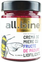 ALL . BINE Crema de Miere cu Fructe de Padure Liofilizate 300g