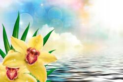 agmART Fotótapéta Orchidea Sárga Víz Dekoráció 200x130 (Fototapety agmART)