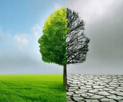 agmART Fotótapéta Tájkép Osztott Ajtó 260x180 (Fototapety agmART)